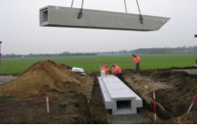 Faunaduikerelementen foto DvG (3)b.jpg