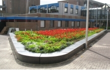 Zevenbergen juiste formaat.jpg