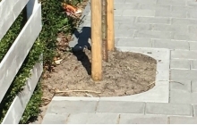 Boomkransen Zaandijk2.jpg