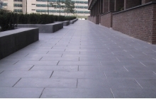 Geslepen Spectroliet