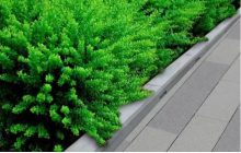 Gireaufil wadibanden