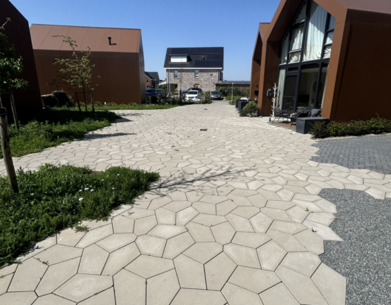 Zeewolde, Parkplaveisel grijs