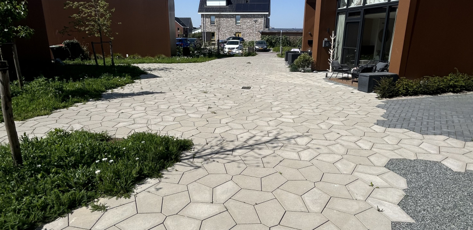 Zeewolde, Parkplaveisel grijs