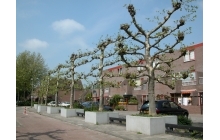 Giro Boombak maatwerk